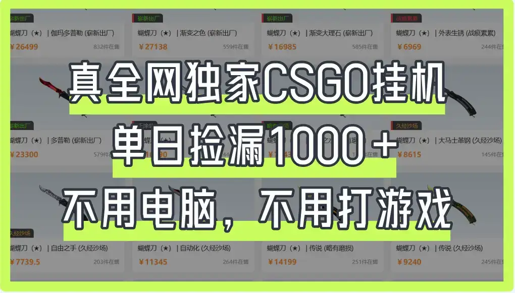 真全网独家CSGO挂机，单日捡漏1000+-优优云创