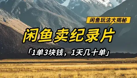 闲鱼卖纪录片1单3块钱，1天几十单，项目稳定有潜力-优优云创