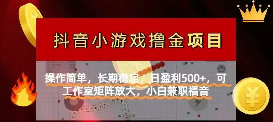 【抖音小游戏发行人计划项目】操作简单，长期稳定，日盈利500+，可工作…-优优云创