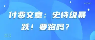 付费文章：史诗级暴跌！要跑吗？-优优云创