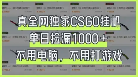 真全网独家CSGO挂G，单日捡漏1k+【揭秘】-优优云创