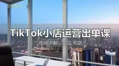 TikTok小店运营出单课，从开店选品、运营出单、发货回款，进行全流程讲解-优优云创