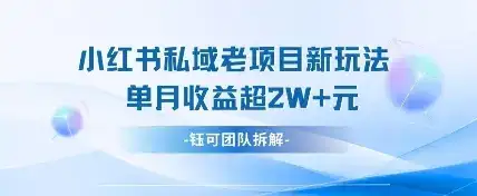 小红书私域项目新玩法，单月变现过W+-优优云创