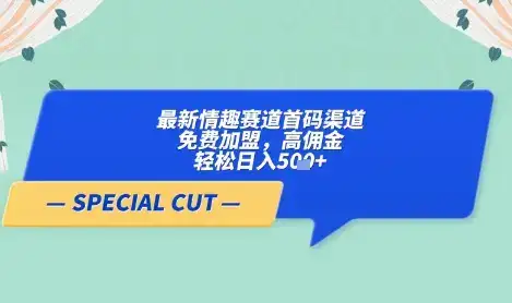【轻云】最新情趣赛道首码渠道，免费加盟，高佣金，轻松日入5张+-优优云创