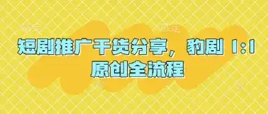 短剧推广干货分享，豹剧 1:1原创全流程-优优云创