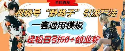视频号“野路子”玩法，评论区疯狂截流，一套模板单日单号引流50+创业粉-优优云创