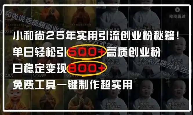 小和尚2025年实用引流秘籍！单日轻松引500+高质量创业粉，日变现800+，…-优优云创