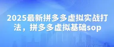 2025最新拼多多虚拟实战打法,拼多多虚拟基础sop-副业吧