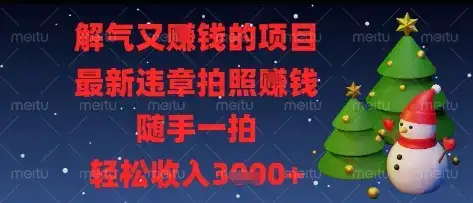 解气又挣钱的项目，最新违章拍照挣钱，随手一拍，轻松收入多张【揭秘】-副业吧