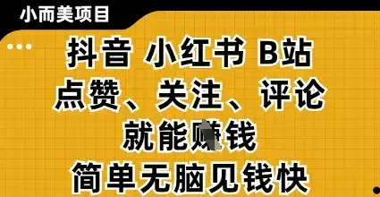 小而美的项目，抖音小红书B站视频点赞、关注、评论就能挣钱，简单无脑立见收益，妥妥的零撸项目【揭秘】-优优云创