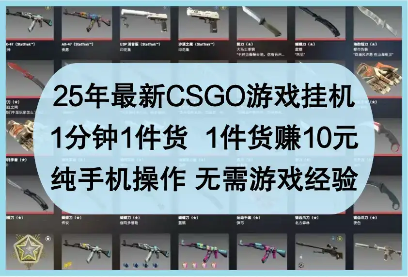 25年最新CSGO游戏挂机，1分钟1件货，1件货赚10元，纯手机操作，无需游戏经验-优优云创