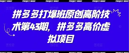 拼多多打爆班原创高阶技术第43期，拼多多高价虚拟项目-优优云创