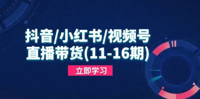 抖音/小红书/视频号/直播带货(11-16期-优优云创
