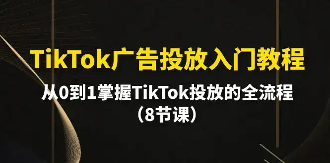 TikTok广告投放入门教程，从0到1掌握TikTok投放的全流程（8节课）-优优云创