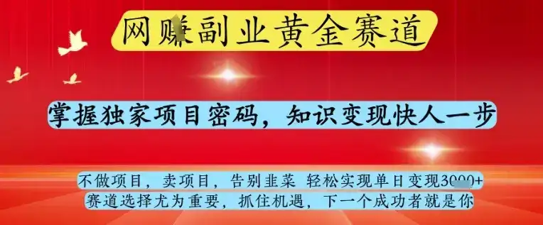 网创副业黄全赛道，掌握独家项目密码，知识变现快人一步，告别韭菜轻松实现单日变现1k+【揭秘】-优优云创