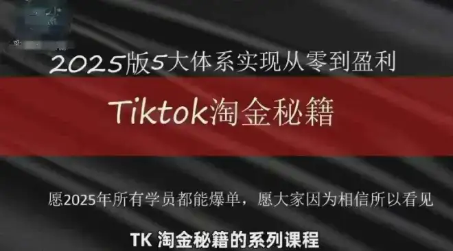 TikTok跨境2025淘金秘籍，​2025TikTok从0到盈利变现-优优云创