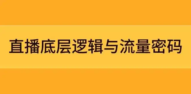 直播底层逻辑与流量密码:定位模型+案例拆解,急速流承接与数据优化全攻略-副业吧