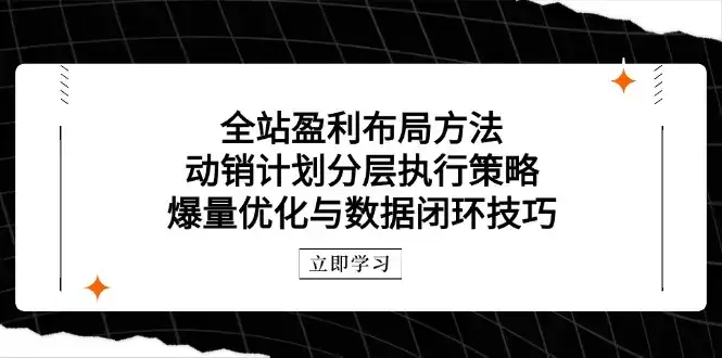 全站盈利布局方法：动销计划分层执行策略，爆量优化与数据闭环技巧-副业吧