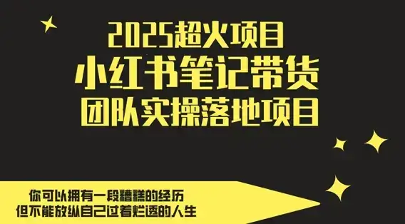 2025超火项目，副业最佳选择，小红书笔记带货团队实操落地项目，，轻松日入5张-优优云创