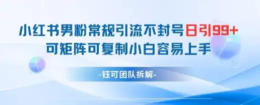 小红书男粉常规引流不封号日引99+变现简单 可矩阵可复制小白容易上手-优优云创