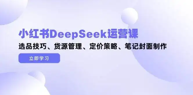 小红书DeepSeek运营课，选品技巧、货源管理、定价策略、笔记封面制作-优优云创