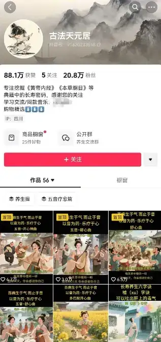 古法五音养生教程，五音疗愈的视频的制作方法，2-4小时就能学会，作者10天涨粉10W-创业猫