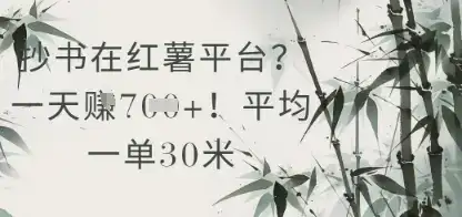 抄书在小红薯平台？平均一单30米，一天收益几张！-优优云创