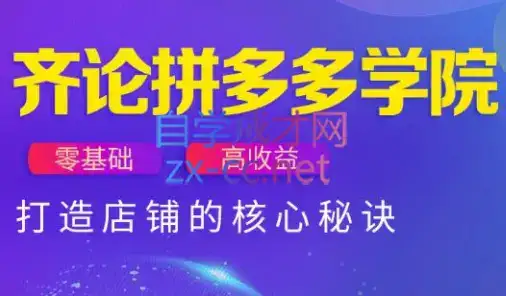 齐论拼多多vip课程-副业吧