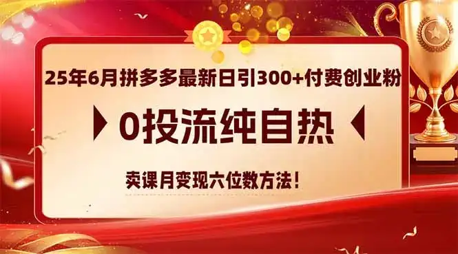 25年6月拼多多最新日引300+付费创业粉，0投流纯自热 卖课月变现六位数方法-优优云创