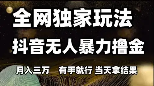 全网独家玩法抖音无人暴力撸金，月入3W，有手就行，当天拿结果【揭秘】-副业吧