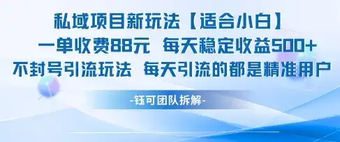 私域项目新玩法【适合小白】 一单收费88.每天稳定收益几张-优优云创