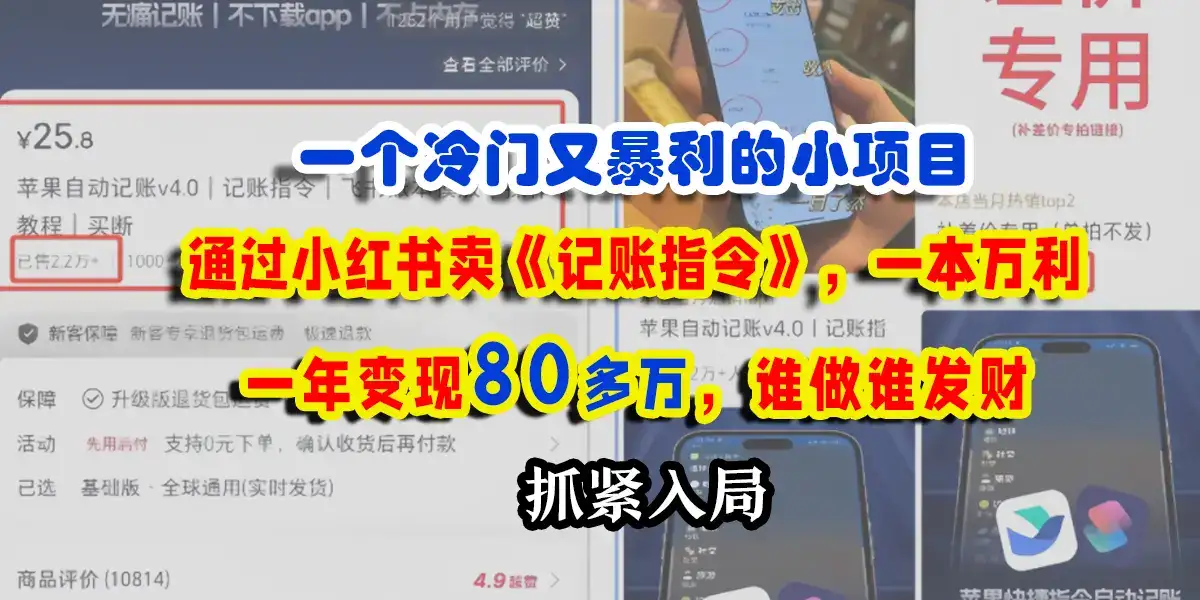 一个冷门又暴利的小项目，通过小红书卖记账指令，一本万利，一年变现80多个，谁做谁发财-优优云创