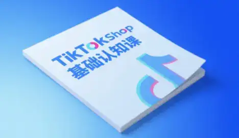 梨子姐姐·TikTok小店基础认知课-副业吧