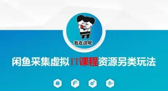 闲鱼采集虚拟IT课程资源另类玩法，干货满满-副业吧