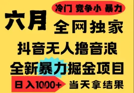 25年6月高爆抖音无人直播最新撸音浪掘金项目，小白可做，无脑日入1k+，门槛低可批量矩阵【揭秘】-副业吧