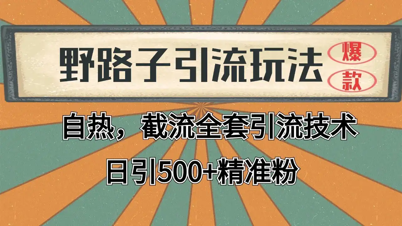 2024首发野路子引流玩法截流自热全平台打法，全自动引流【日引2000+精准客户】-优优云创