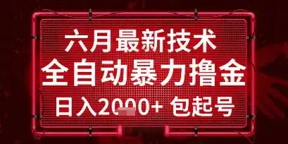 六月最新技术全自动暴力撸金，稳定日入2k+包起号，长期稳定【揭秘】-优优云创