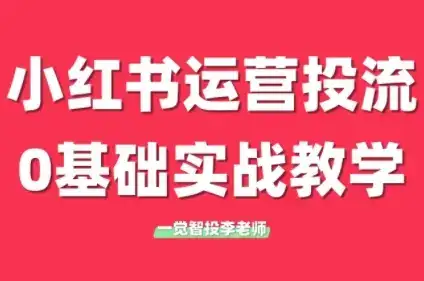 李老师·小红书运营投流,0基础实战教学(更新)-副业吧