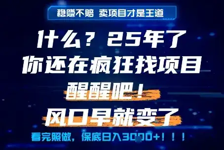 什么？25年你还在疯狂找项目做，醒醒吧，看完这些你全都懂了！【揭秘】-优优云创