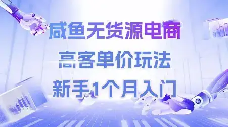咸鱼无货源电商，高客单价玩法，新手1个月入门-优优云创