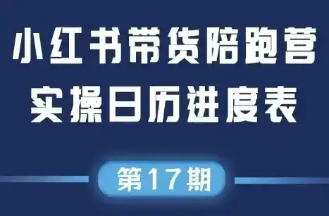 盗坤·抖音小红书视频号短视频带货与直播变现(11-17期)-副业吧