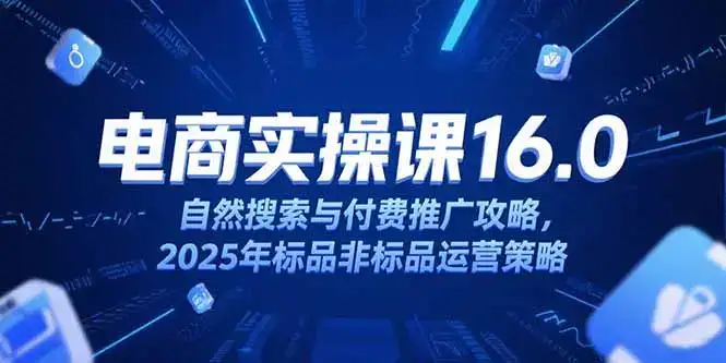 淘宝电商运营课16.0，自然搜索与付费推广攻略，2025年标品非标品运营策略-优优云创