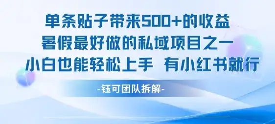 单条贴子带来5张的收益，暑假最好做的私域项目之一，小白也能轻松上手，有小红书就行-优优云创