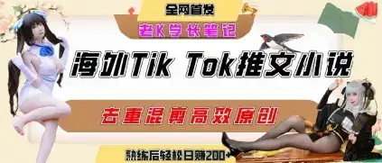 海外tiktok小说推文暴力项目，高停留率，高转化率，上手后一天搞顿饭钱不是问题-优优云创
