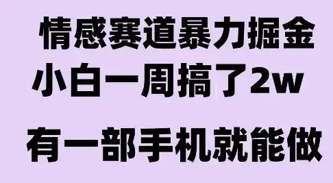 情感暴力掘金项目，新人操作一周挣了2W，长期稳定小白可做【揭秘】-优优云创