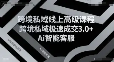 跨境私域线上高级课程，跨境私域极速成交3.0+Ai智能客服-优优云创