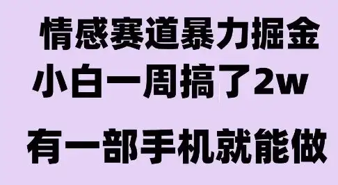 情感暴力掘金项目，新人操作一周挣了2W，长期稳定小白可做【揭秘】-副业吧