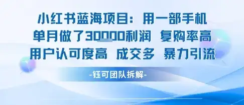小红书蓝海项目，一部手机单月做了3W利润，小白也能月入过1W用户认可度高成交多-优优云创