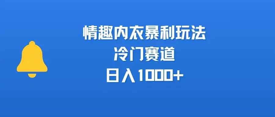 情趣内衣暴利玩法，冷门赛道，日入1000+-副业吧