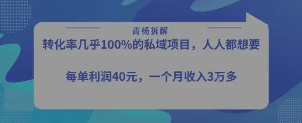 转化率最高的私域项目，每单利润40-50米，月入过1w-优优云创